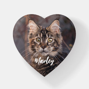 Custom Pet Photo Personalized Paperweight