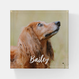 Custom Pet Photo Personalized Paperweight