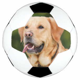Custom Pet Photo Personalized  Soccer Ball