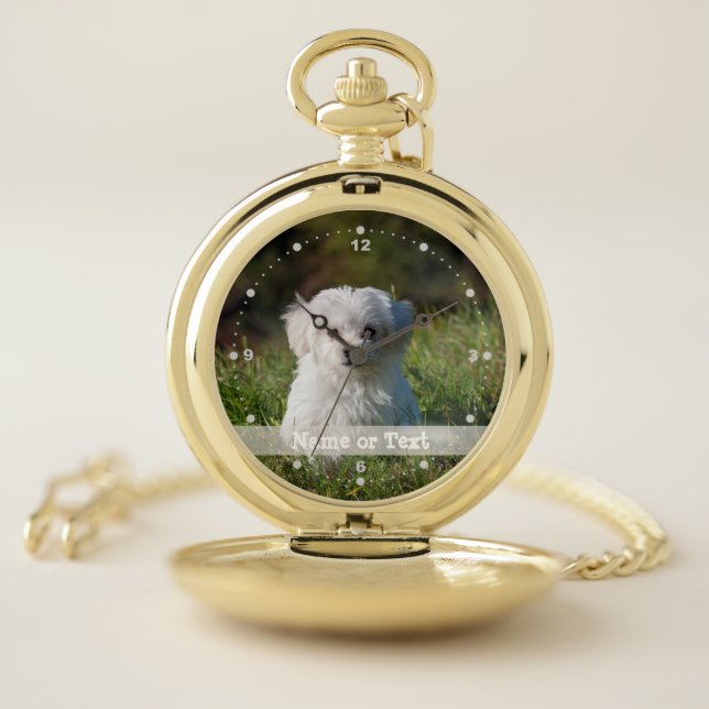 Custom Pet Photo Pocket Watch (Inside)
