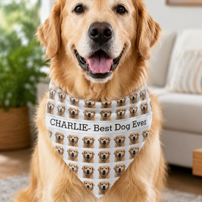 Custom Pet Photo Repeating Pattern Bandana  (Custom Pet Photo Repeating Pattern Bandana)