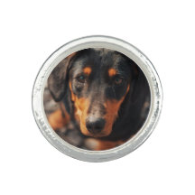 Custom Pet Photo
