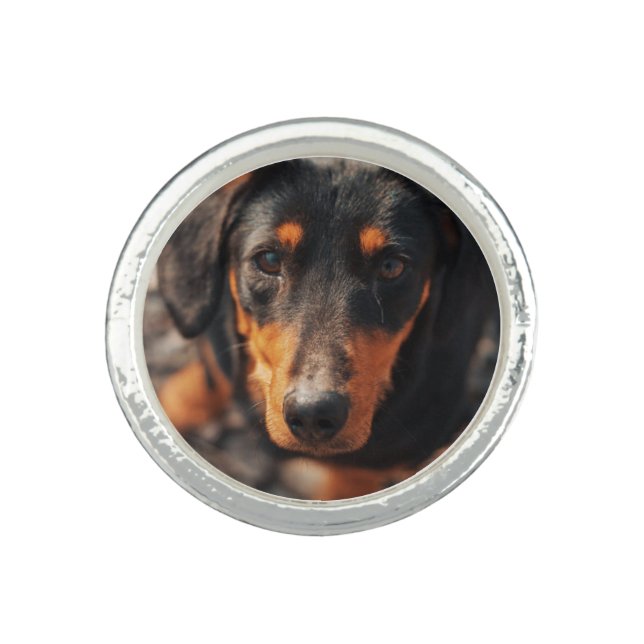 Custom Pet Photo Ring (Front)