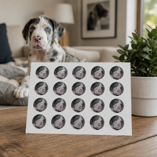 Custom Pet Photo Round Classic Round Sticker
