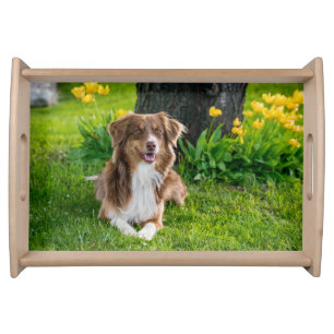 Custom Pet Photo Serving Tray
