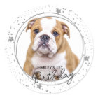 Custom Pet Photo Silver Glitter Stars Dog Birthday