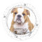 Custom Pet Photo Silver Glitter Stars Dog Birthday