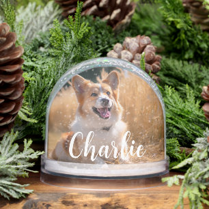 Custom Pet Photo Snow Globe