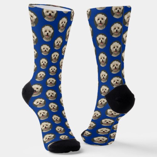 Custom Pet Photo Sporty Blue Cute Socks