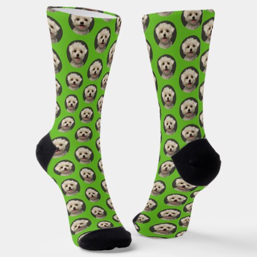 Custom Pet Photo Sporty Green Cute Socks