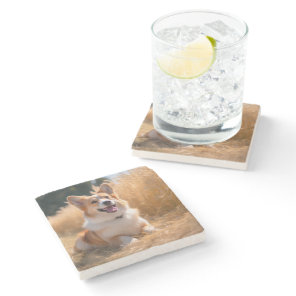 Custom Pet Photo Stone Coaster