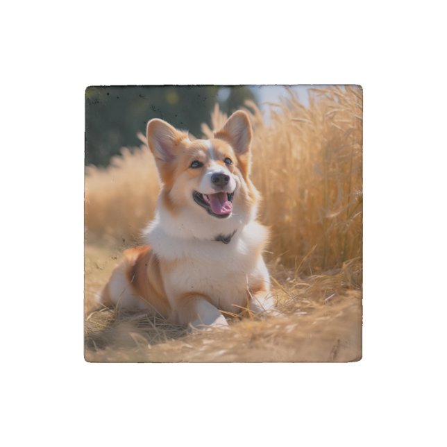 Custom Pet Photo Stone Magnet (Front)