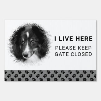 Custom Pet Photo Template I Live Here & Paws Sign