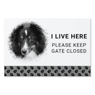 Custom Pet Photo Template I Live Here &amp; Paws Sign