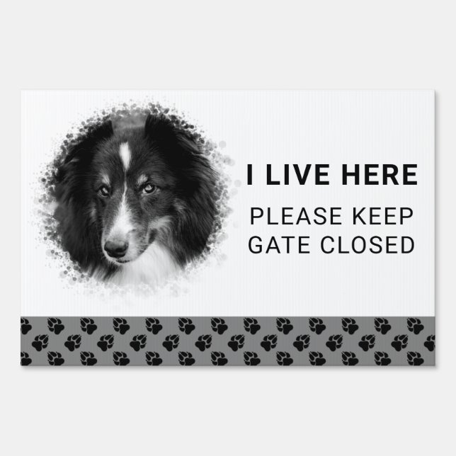 Custom Pet Photo Template I Live Here & Paws Sign (Front)