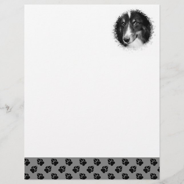 Custom Pet Photo Template With Black Paws On Gray Letterhead (Front)