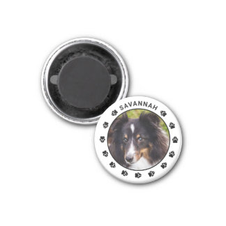 Custom Pet Photo Template With Paws &amp; Name Magnet