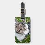 Custom Pet Photo Travel Luggage Tag For Baggage at Zazzle
