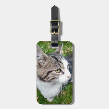 Custom Pet Photo Travel Luggage Tag For Baggage by photoedit at Zazzle