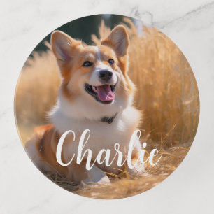 Custom Pet Photo Trinket Tray