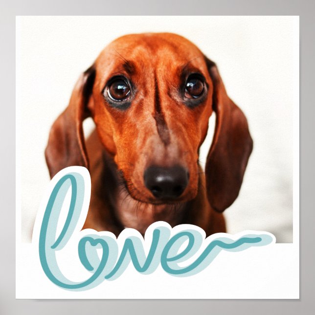 Custom Pet Photo with LOVE in Blue Typography Poster (Front)