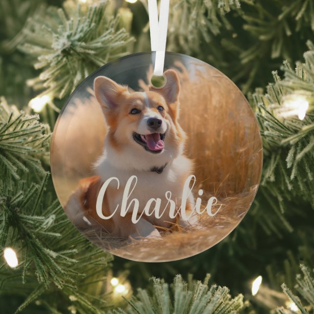 Custom Pet Photo with Name Glass Ornament (Insitu)