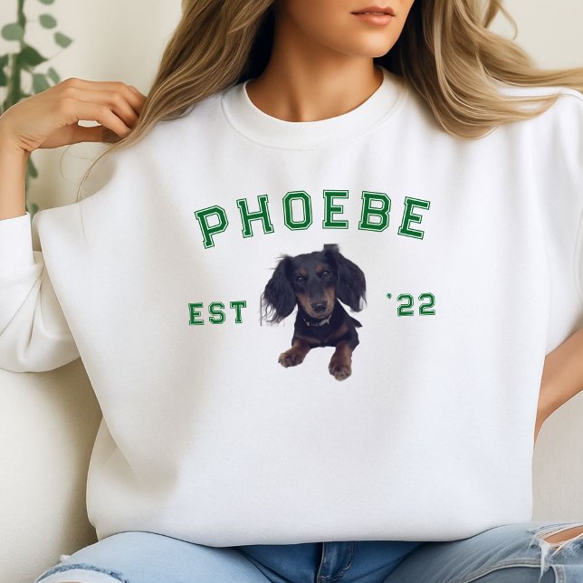 Custom Pet Portrait and Varsity Letter Arch Name Sweatshirt (We love our pets! Why not wear them on our favorite cozy sweatshirt?)