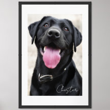 Custom Pet Portrait Framed Art