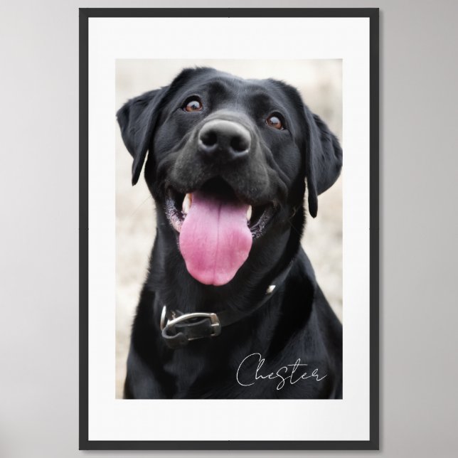 Custom Pet Portrait Framed Art (Framed Front)