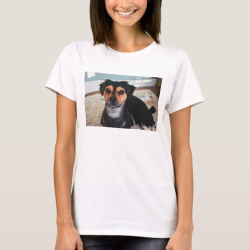 Custom Pet Portrait on T_Shirt Picture of Pet Here