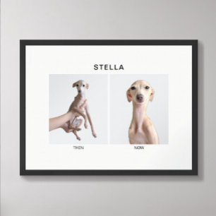 Custom Pet Portrait   Then and Now Poster