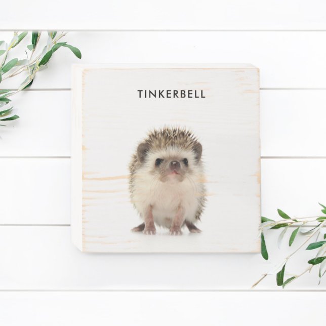 Custom Pet Portrait with Name Wooden Box Sign (Creator Uploaded)