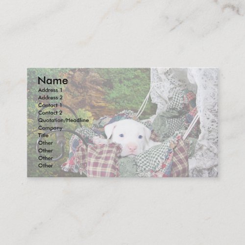 Custom Pet Sitting Service Business Card