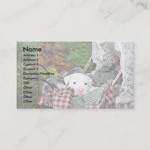 Customizable Custom Pet Sitting Service Business Card