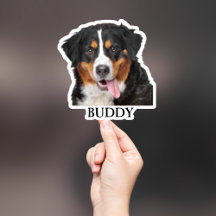 Custom Pet Sticker, Custom Dog Sticker, Custom Cat