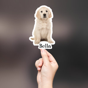 Custom Pet Sticker, Custom Dog Sticker, Custom Cat Sticker
