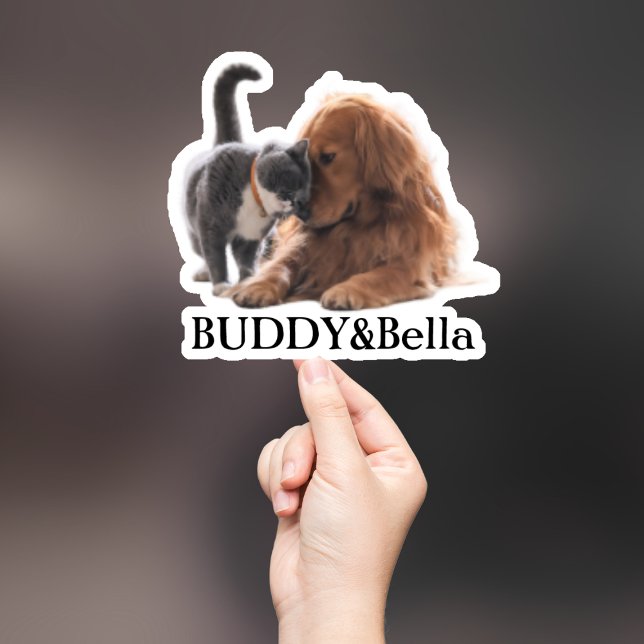 Custom Pet Sticker, Custom Dog Sticker, Custom Cat Sticker (Creator Uploaded)