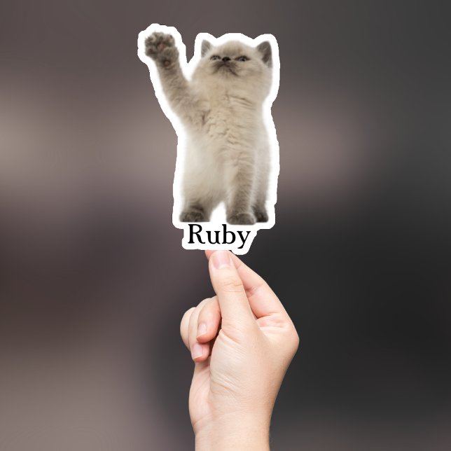 Custom Pet Sticker, Custom Dog Sticker, Custom Cat Sticker (Creator Uploaded)