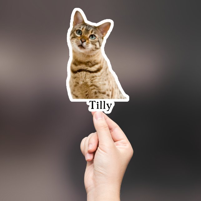 Custom Pet Sticker, Custom Dog Sticker, Custom Cat Sticker (Creator Uploaded)