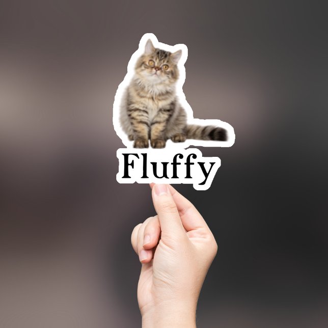 Custom Pet Sticker, Custom Dog Sticker, Custom Cat Sticker (Creator Uploaded)