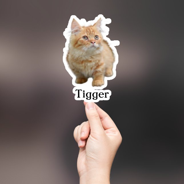 Custom Pet Sticker, Custom Dog Sticker, Custom Cat Sticker (Creator Uploaded)