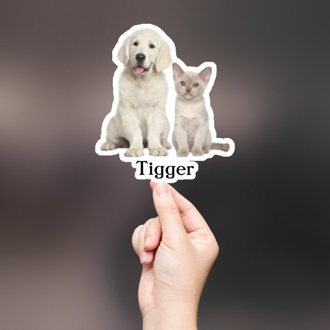 Custom Pet Sticker, Custom Dog Sticker, Custom Cat Sticker (Creator Uploaded)