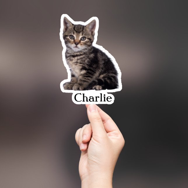 Custom Pet Sticker, Custom Dog Sticker, Custom Cat Sticker (Creator Uploaded)