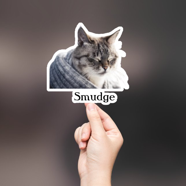 Custom Pet Sticker, Custom Dog Sticker, Custom Cat Sticker (Creator Uploaded)