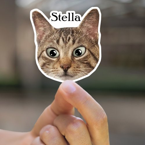 Custom Pet Sticker Personalized Cat Face Sticker