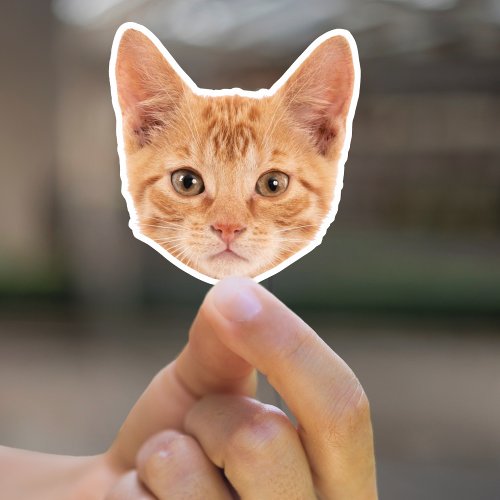 Custom Pet Stickers Custom Cat Sticker Custom Dog