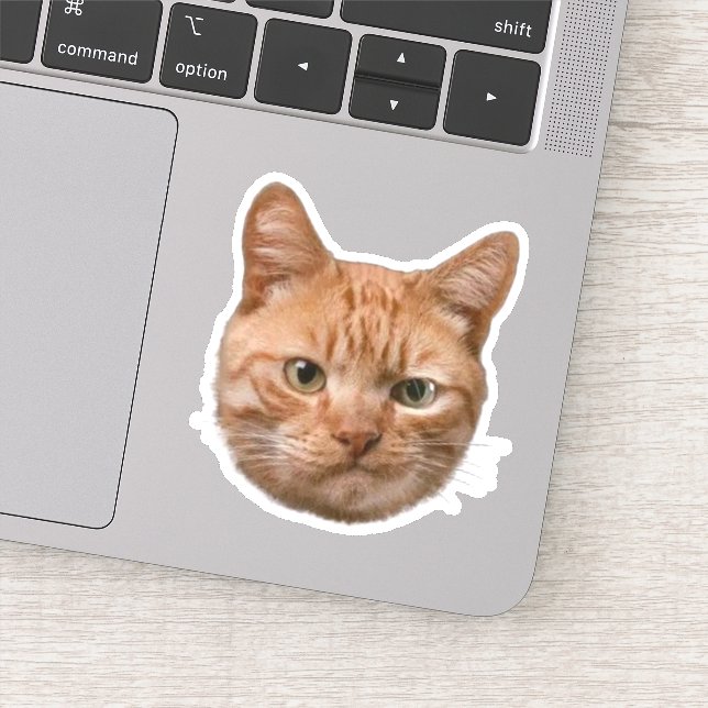 Custom Pet Stickers Dog Cat Photo Decal (Detail)