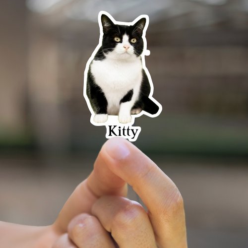 Custom Pet stickers Waterproof Custom Cat Sticker