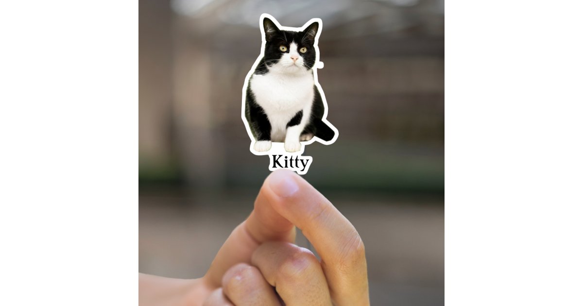 Custom Pet stickers Waterproof Custom Cat Sticker