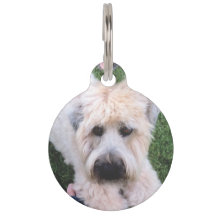 custom pet tag 2020